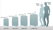 20" Expandable Hardside Carry-On Luggage – Charcoal